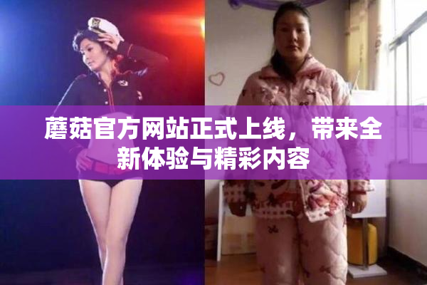 蘑菇官方网站正式上线，带来全新体验与精彩内容