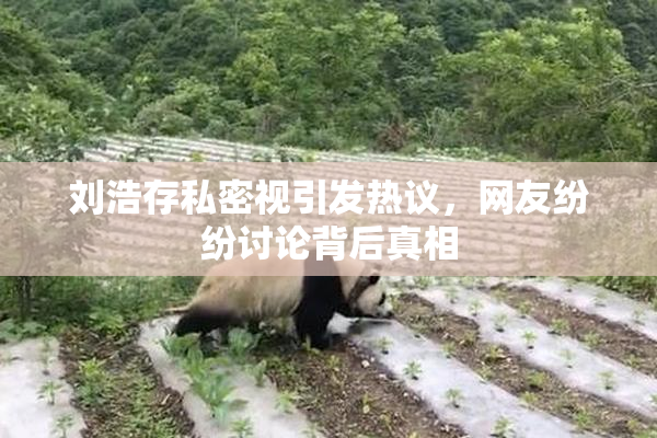 刘浩存私密视引发热议，网友纷纷讨论背后真相