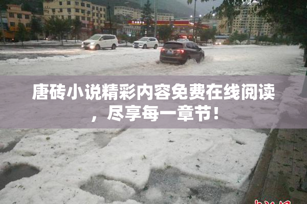 唐砖小说精彩内容免费在线阅读，尽享每一章节！