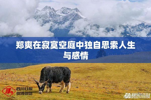 郑爽在寂寞空庭中独自思索人生与感情
