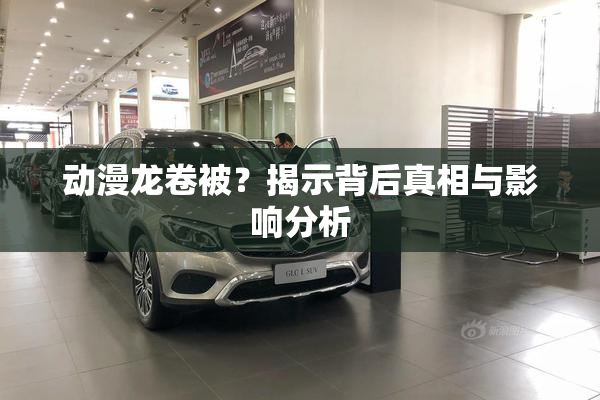 动漫龙卷被？揭示背后真相与影响分析