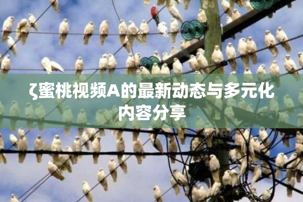 ζ蜜桃视频A的最新动态与多元化内容分享