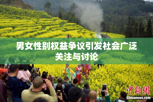 男女性别权益争议引发社会广泛关注与讨论