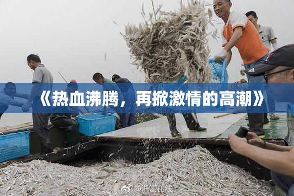 《热血沸腾，再掀激情的高潮》