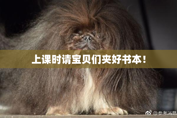上课时请宝贝们夹好书本！