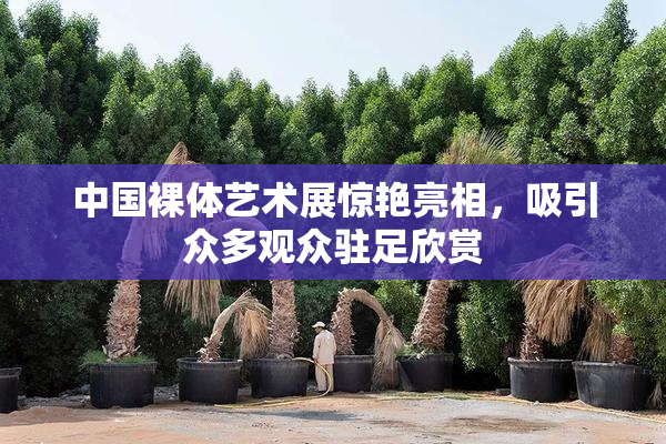 中国裸体艺术展惊艳亮相，吸引众多观众驻足欣赏