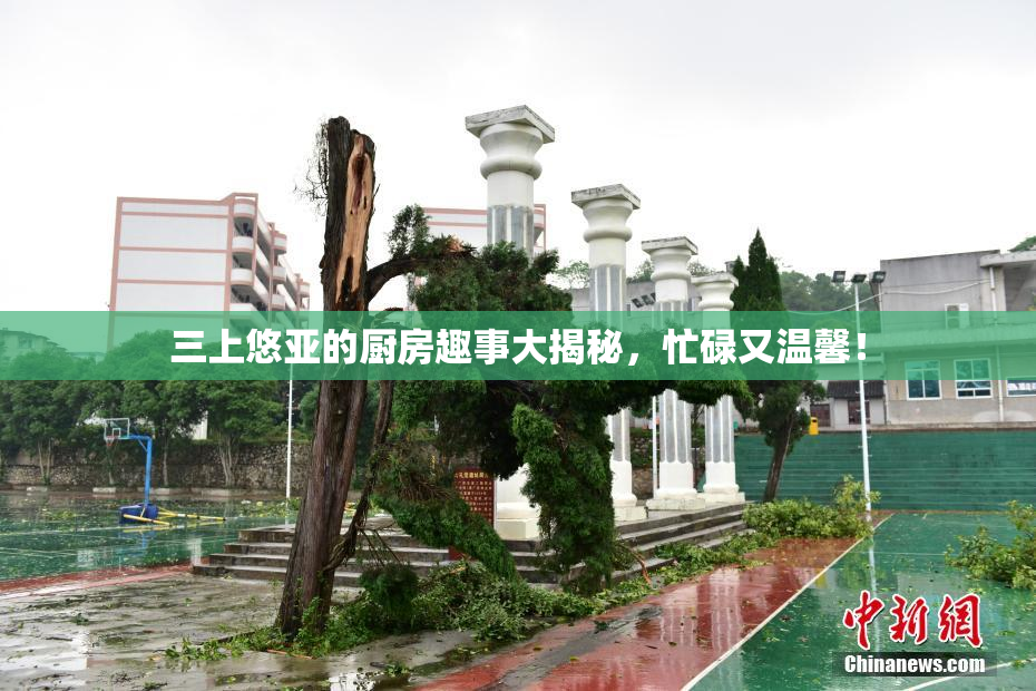 三上悠亚的厨房趣事大揭秘，忙碌又温馨！