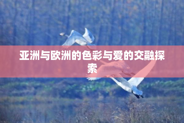 亚洲与欧洲的色彩与爱的交融探索