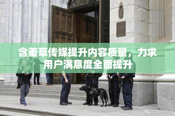 含羞草传媒提升内容质量，力求用户满意度全面提升