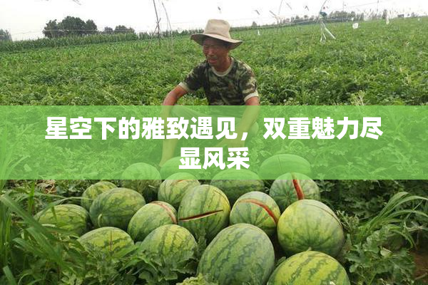 星空下的雅致遇见，双重魅力尽显风采
