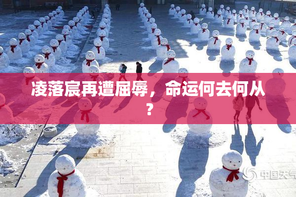 凌落宸再遭屈辱，命运何去何从？
