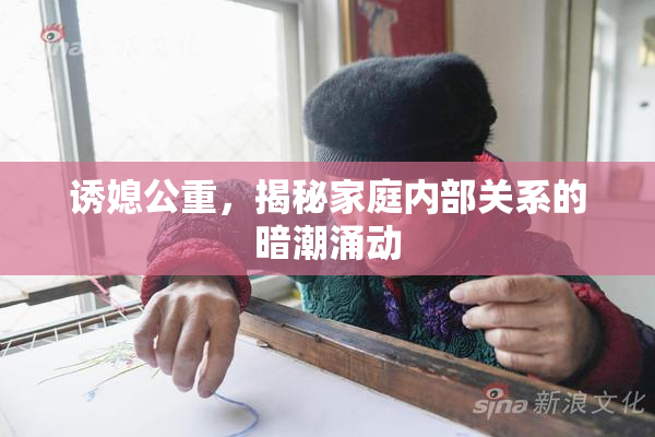 诱媳公重，揭秘家庭内部关系的暗潮涌动