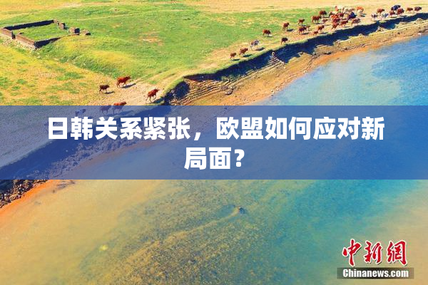 日韩关系紧张，欧盟如何应对新局面？