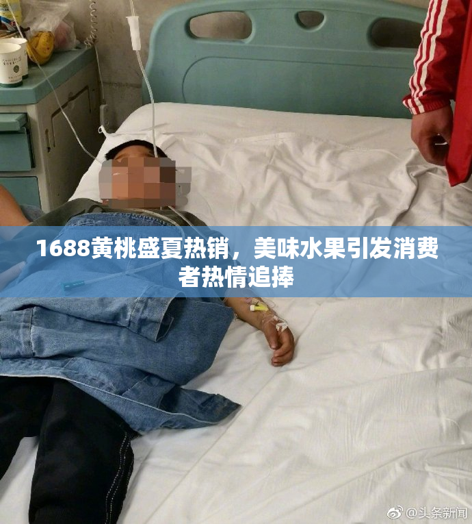 1688黄桃盛夏热销，美味水果引发消费者热情追捧
