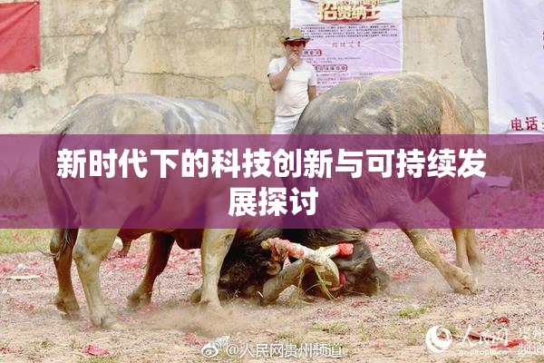 新时代下的科技创新与可持续发展探讨