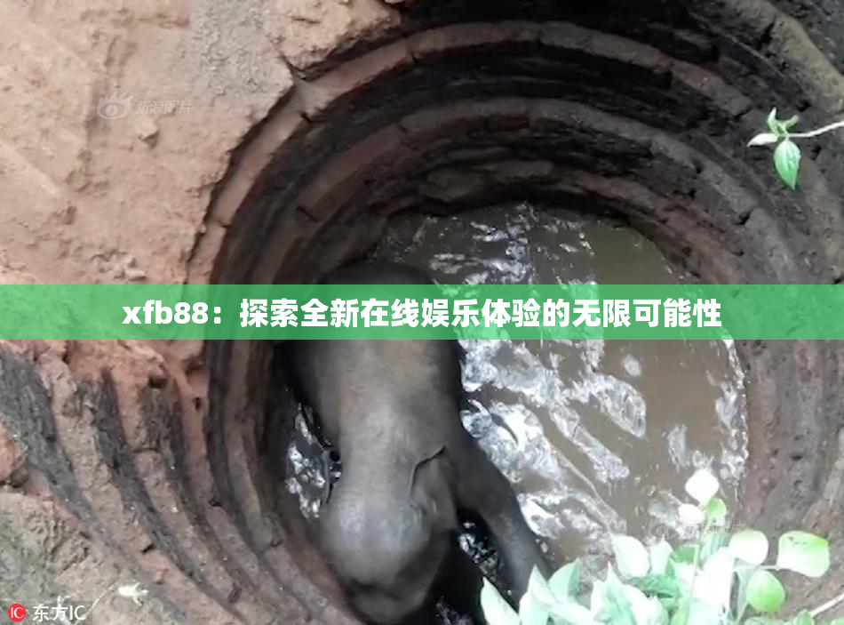 xfb88：探索全新在线娱乐体验的无限可能性