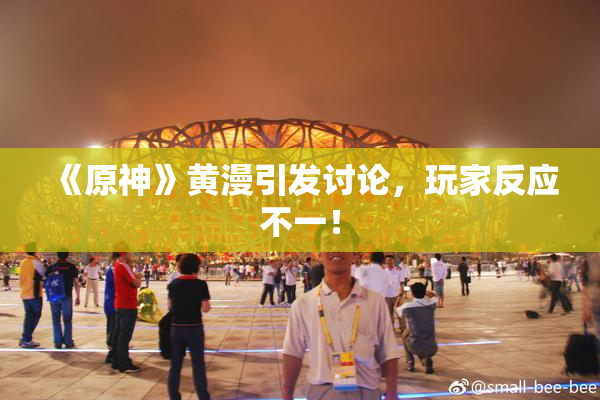 《原神》黄漫引发讨论，玩家反应不一！