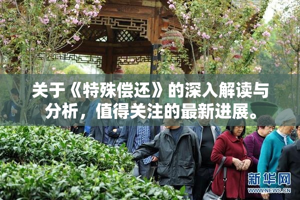 关于《特殊偿还》的深入解读与分析，值得关注的最新进展。