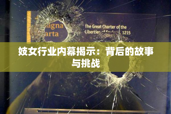 妓女行业内幕揭示：背后的故事与挑战