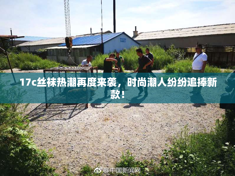 17c丝袜热潮再度来袭，时尚潮人纷纷追捧新款！