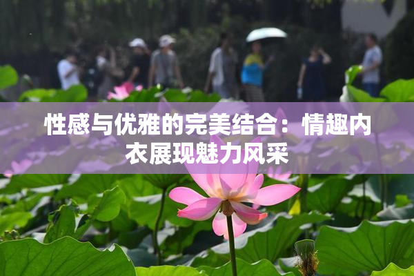 性感与优雅的完美结合：情趣内衣展现魅力风采