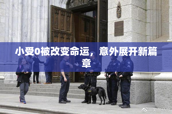 小受0被改变命运，意外展开新篇章