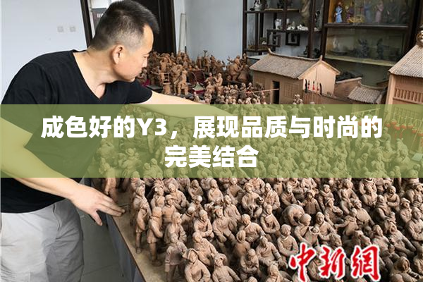 成色好的Y3，展现品质与时尚的完美结合