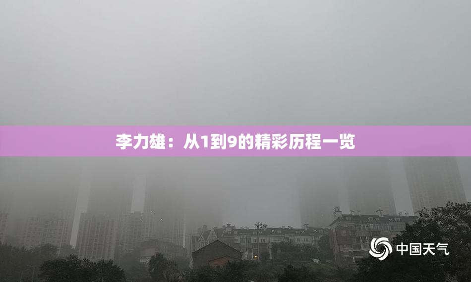 李力雄：从1到9的精彩历程一览