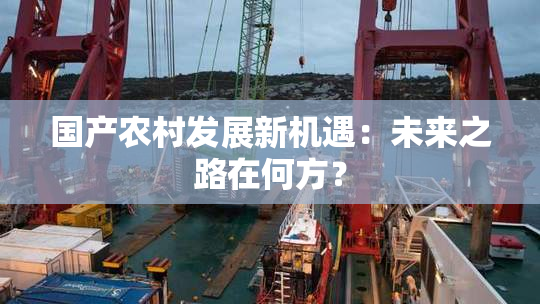国产农村发展新机遇：未来之路在何方？