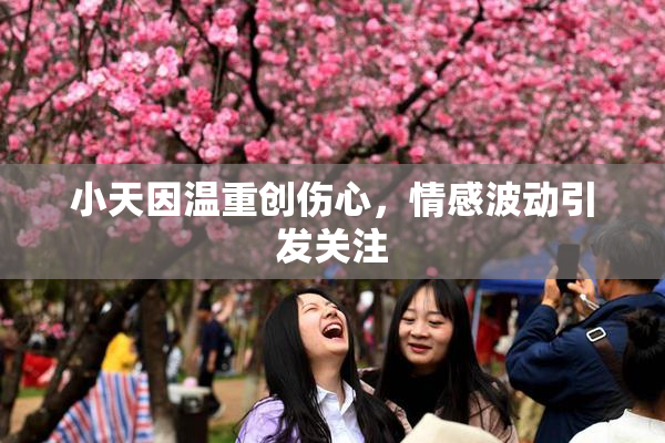 小天因温重创伤心，情感波动引发关注