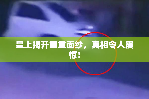 皇上揭开重重面纱，真相令人震惊！
