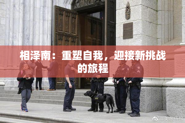 相泽南：重塑自我，迎接新挑战的旅程