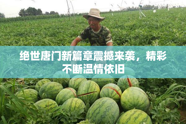 绝世唐门新篇章震撼来袭，精彩不断温情依旧