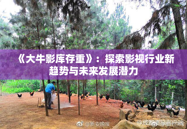 《大牛影库存重》：探索影视行业新趋势与未来发展潜力