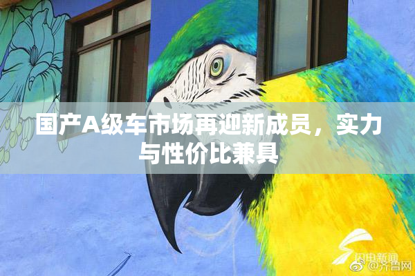 国产A级车市场再迎新成员，实力与性价比兼具