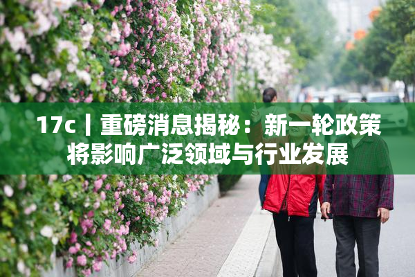 17c丨重磅消息揭秘：新一轮政策将影响广泛领域与行业发展
