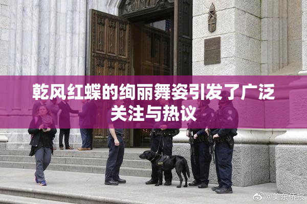 乾风红蝶的绚丽舞姿引发了广泛关注与热议