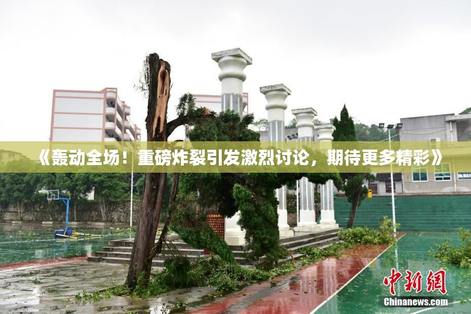 《轰动全场！重磅炸裂引发激烈讨论，期待更多精彩》