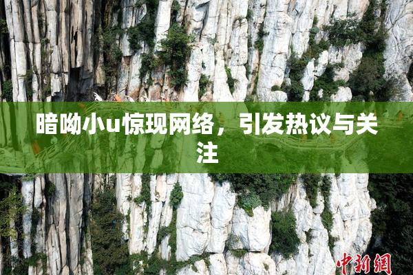 暗呦小u惊现网络，引发热议与关注