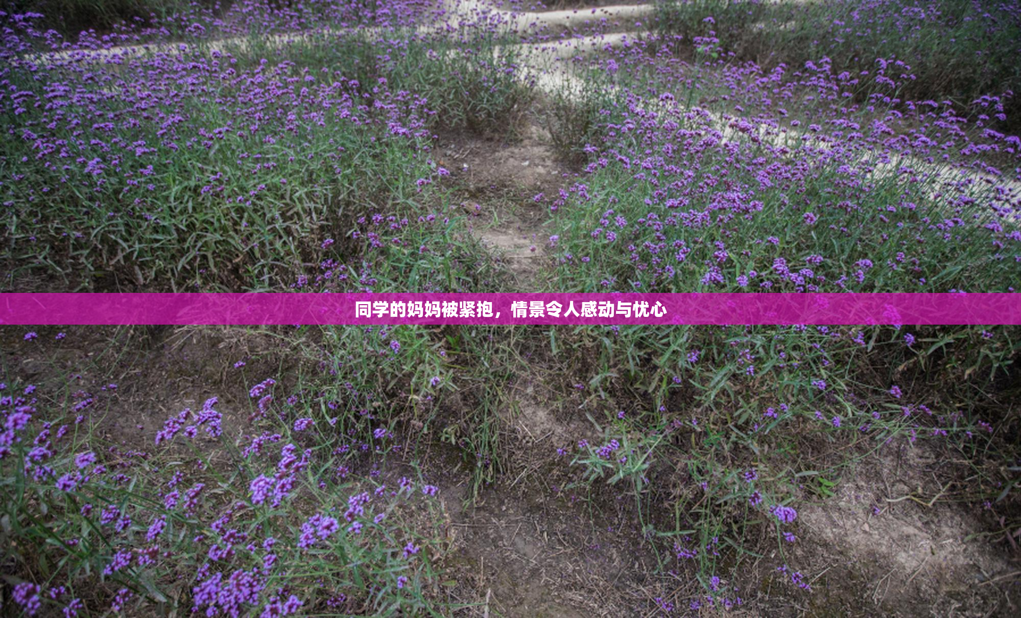 同学的妈妈被紧抱，情景令人感动与忧心