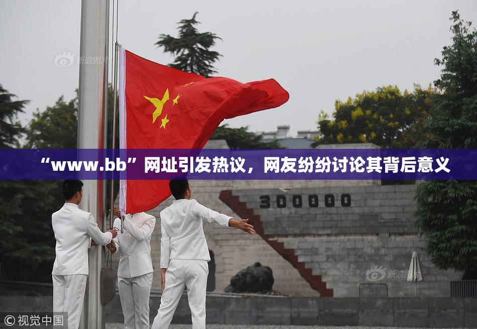 “www.bb”网址引发热议，网友纷纷讨论其背后意义