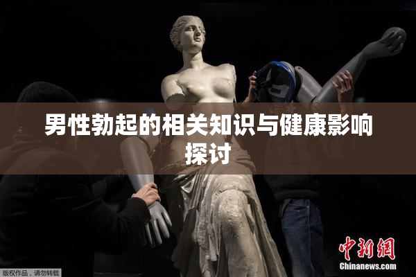 男性勃起的相关知识与健康影响探讨