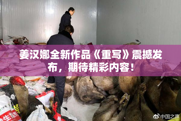 姜汉娜全新作品《重写》震撼发布，期待精彩内容！
