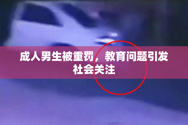 成人男生被重罚，教育问题引发社会关注