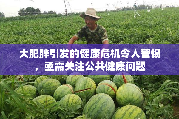 大肥胖引发的健康危机令人警惕，亟需关注公共健康问题