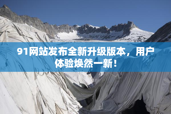 91网站发布全新升级版本，用户体验焕然一新！