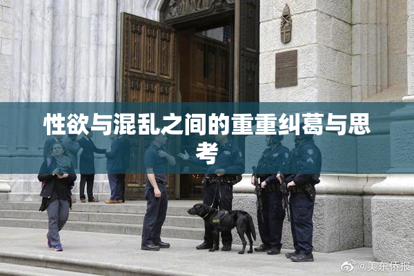 性欲与混乱之间的重重纠葛与思考