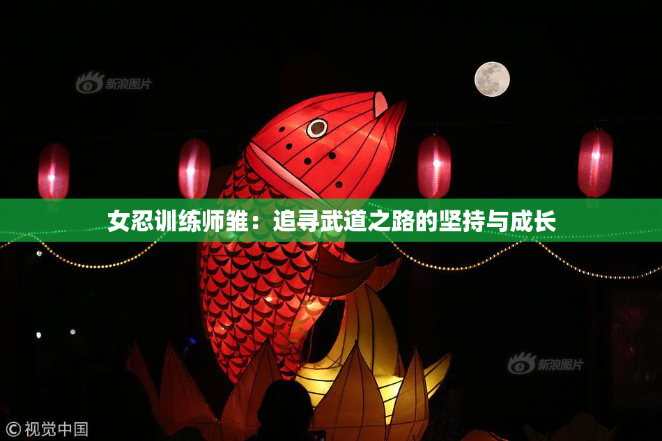 女忍训练师雏：追寻武道之路的坚持与成长