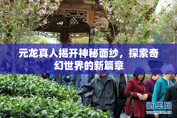 元龙真人揭开神秘面纱，探索奇幻世界的新篇章