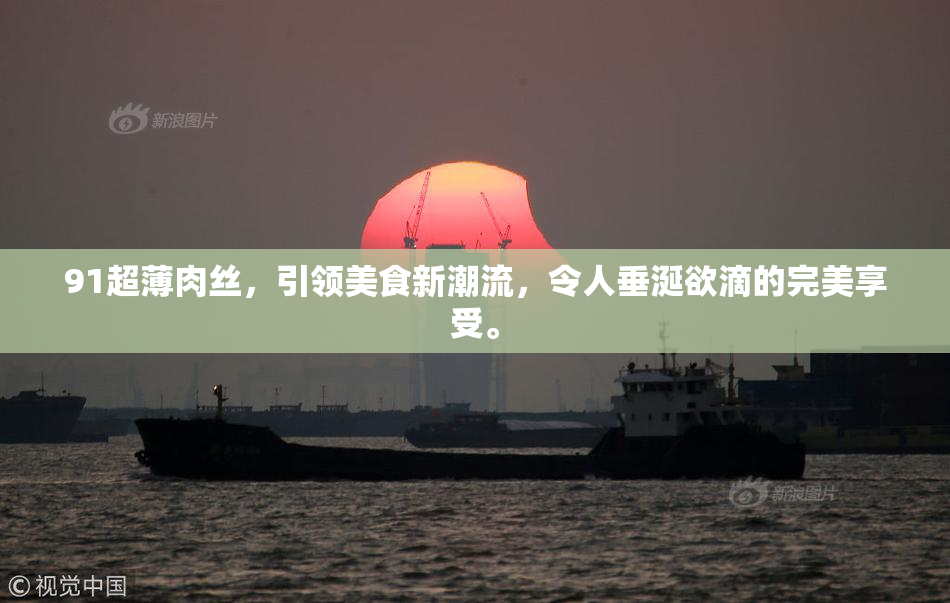 91超薄肉丝，引领美食新潮流，令人垂涎欲滴的完美享受。
